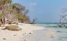 Soneva Jani Hotel Manadhoo Exterior photo