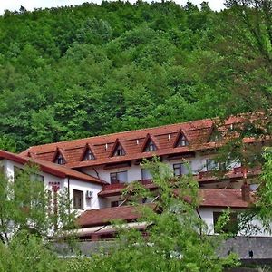 Hotel McPietroasa Hales Exterior photo