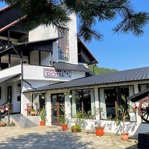 Royal Bucovina Residence Adults Only-Self Check-In Câmpulung Moldovenesc Exterior photo