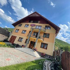 Pensiunea Vătafu Gura Râului Exterior photo