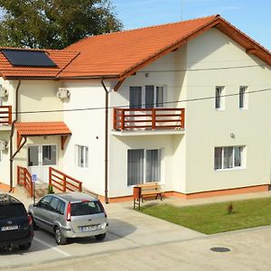 Pensiunea HERA Hațeg Exterior photo