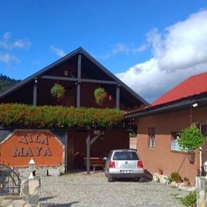 Vila Maya BaileTusnad Exterior photo