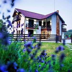 Pensiunea Lavanda Bratca Exterior photo
