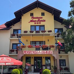 Pensiunea Ana Maria Brad  Exterior photo