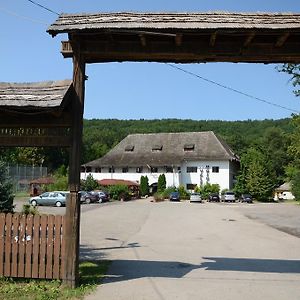 Pensiunea Valea Ursului Bascov Exterior photo