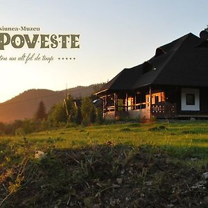 Casa Poveste Pensiunea-Muzeu Câmpulung Moldovenesc Exterior photo