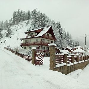 Pensiunea Roua Diminetilor Rusca  Exterior photo